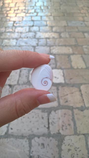 Plus qu'un coquillage, une légende ... Plus qu'un coquillage, une légende ...