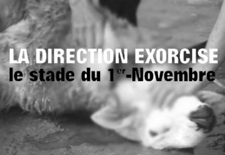 Sacrifie d'un mouton pour exorciser le stade du 1er Novembre : La JSK de Hannachi touche le fond Sacrifie d'un mouton pour exorciser le stade du 1er Novembre : La JSK de Hannachi touche le fond