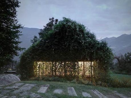 the-green-box-house-11