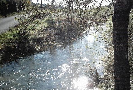 PROMENADE DE CE MATIN promenade,photos,loisirs,sud,saisons,automne