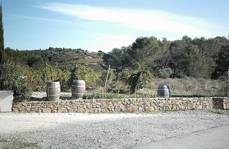 PROMENADE DE CE MATIN promenade,photos,loisirs,sud,saisons,automne