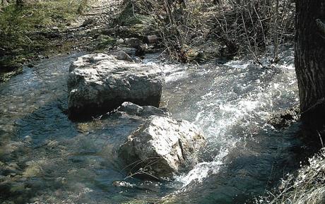 PROMENADE DE CE MATIN promenade,photos,loisirs,sud,saisons,automne