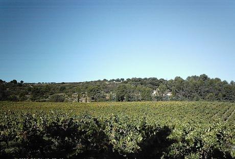PROMENADE DE CE MATIN promenade,photos,loisirs,sud,saisons,automne