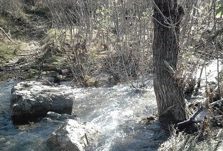 PROMENADE DE CE MATIN promenade,photos,loisirs,sud,saisons,automne