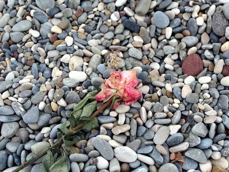 Un coup de peinture fraiche : Raviver les souvenirs et leur rendre leur brillance ! Un coup de peinture fraiche : Raviver les souvenirs et leur rendre leur brillance !