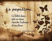 Semaine du 3 au 9 Octobre 2016 Semaine du 3 au 9 Octobre 2016