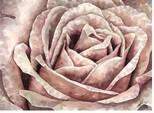 Semaine du 3 au 9 Octobre 2016 rose_des_sables_aquarelle_astor