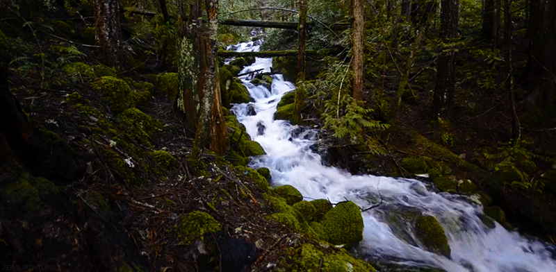 witchcraft creek flowing water gif