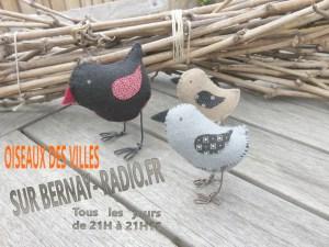 Les oiseaux gazouilles sur Bernay-radio.fr…