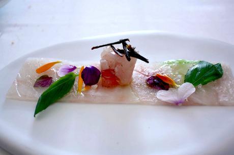 poisson-blanc-cru-fleur-et-gingembre-gourmetsco