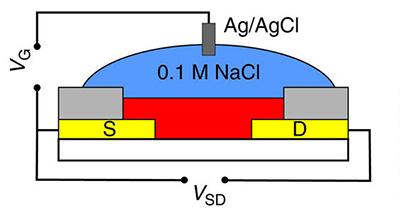 Schematic of the new n-type organic electrochemical transistor