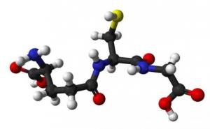 VIEILLISSEMENT: 2 antioxydants pour se désintoxiquer des effets de l'âge – Redox Biology