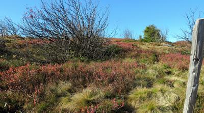 Automne sur les Hautes Chaumes vosgiennes Automne sur les Hautes Chaumes vosgiennes