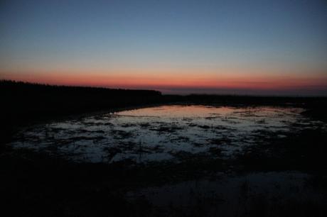 Post tenebras lux sur-les-hauteurs-des-petites-dalles-au-crpuscule_14771811026_o.jpg