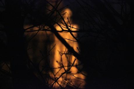 Post tenebras lux eglise-dans-la-nuit_17009167610_o.jpg