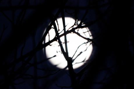 Post tenebras lux 23939183451_fe07d6b841_o.jpg