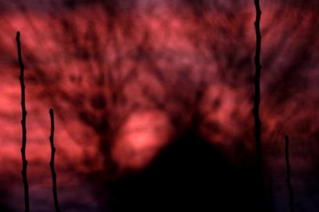 Post tenebras lux tombe-de-la-nuit_15978561510_o.jpg