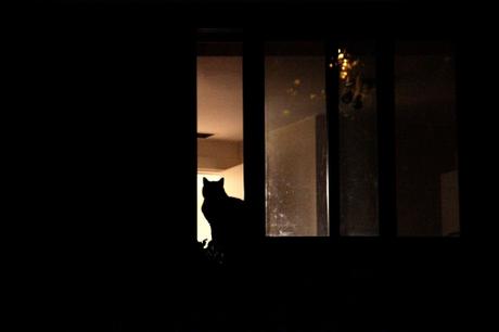 Post tenebras lux 27367808911_8c9cbe4afd_o.jpg