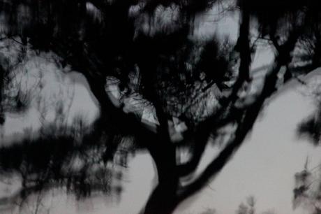 Post tenebras lux 28167454941_e11c637cf6_k.jpg