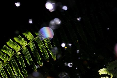 Post tenebras lux 28250496155_06cc87fc76_o.jpg