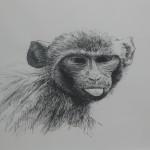 Thomas Monin, Entrepôt 9 Monin2