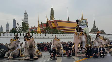 Bangkok 11 éléphants blancs d'Ayutthaya marchent sur le Grand Palais (vidéo)