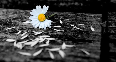 Quand tout va mal… Quand tout va mal…