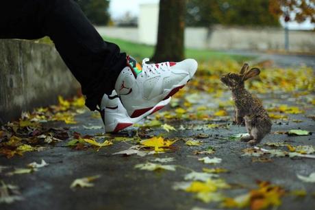 BEST OF #SADP 08/11/2016 yannick-ollivier-air-jordan-7-hare-2008