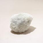 sea-anemone-pia-maria-raeder-table-blog-espritdesign-11