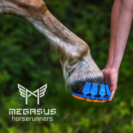 Megasus-Horserunners-Cover-1