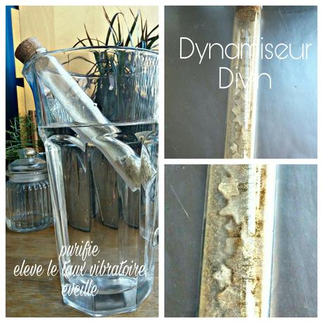 Le dynamiseur "Divin" Le dynamiseur "Divin"