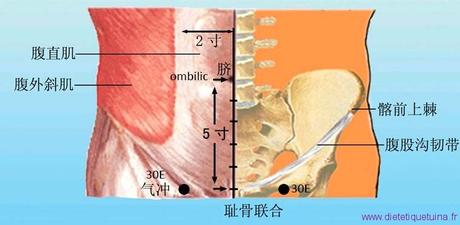 Le point Qi Chong du méridien de l’estomac (30E)