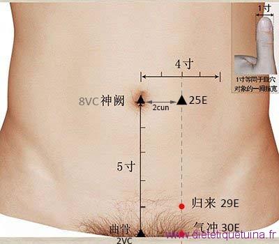 Le point Qi Chong du méridien de l’estomac (30E)