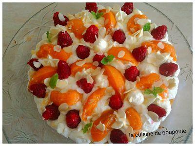 Fantastik aux abricots au thermomix ou sans Fantastik aux abricots au thermomix ou sans