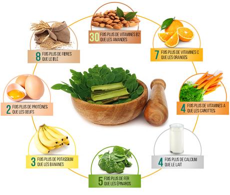 Moringa Oleifera de puissants avantages santé moringa-infos