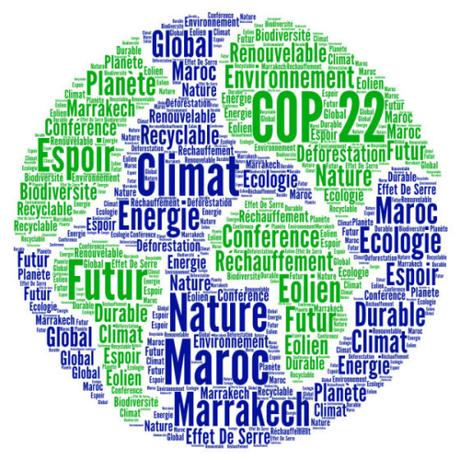 COP22, pour inventer le monde de demain !