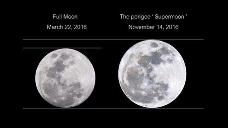 Comparaison de la micro Lune de mars 2016 avec la super Lune de novembre 2016, la plus importante depuis 68 ans - Crédit : Aun Photographer, shutterstock