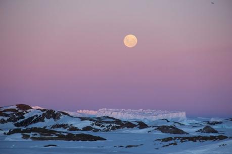 Photo prise depuis la base de recherche indienne en Antarctique, Bharati Station.- Crédit : B.Sudarsan Patro