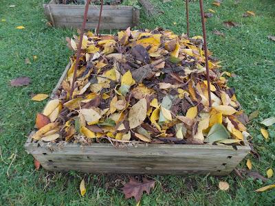 L'importance du compost et du mulch pour de belles récoltes