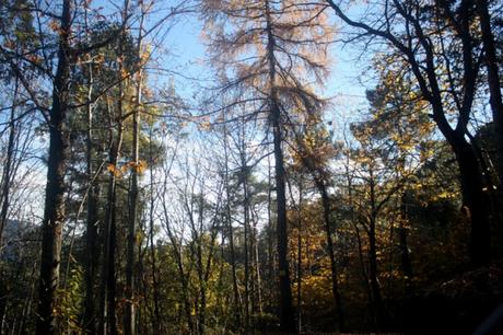 La Madone d'Utelle - Notre-Dame des Miracles: sur les traces de l'ultra-trail du Mercantour. La Madone d'Utelle - Notre-Dame des Miracles: sur les traces de l'ultra-trail du Mercantour.