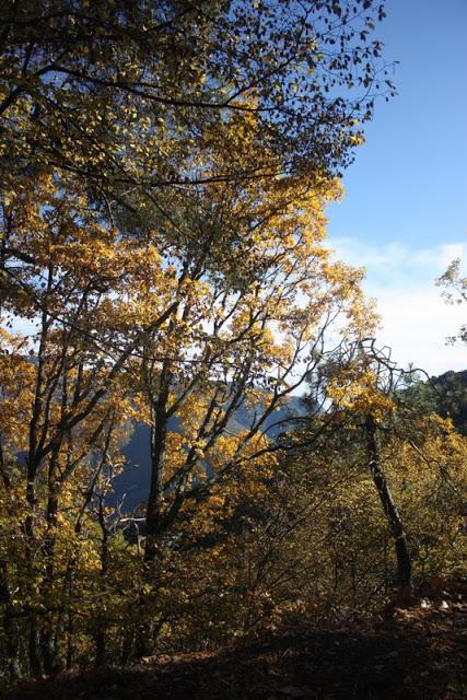 La Madone d'Utelle - Notre-Dame des Miracles: sur les traces de l'ultra-trail du Mercantour. La Madone d'Utelle - Notre-Dame des Miracles: sur les traces de l'ultra-trail du Mercantour.