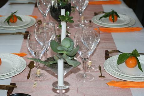 Succulentes et mandarines Succulentes et mandarines