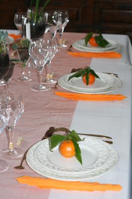 Succulentes et mandarines Succulentes et mandarines