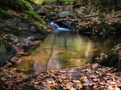 le Rivoal au Nivot, à Lopérec (12 photos) le Rivoal au Nivot, à Lopérec (12 photos)