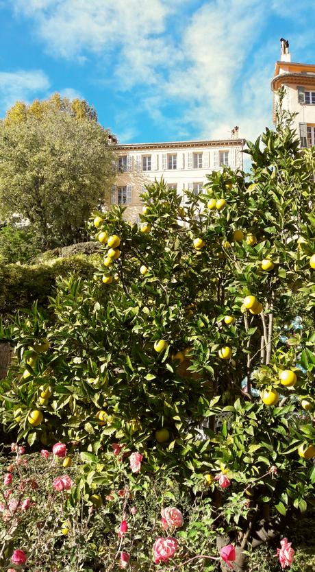 Mise au parfum à Museomix Grasse! Mise au parfum à Museomix Grasse!