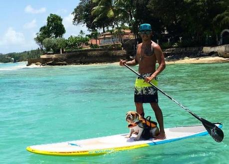 Quelles sont les disciplines sportives qui offrent le plus de vacances? Quelles sont les disciplines sportives qui offrent le plus de vacances?