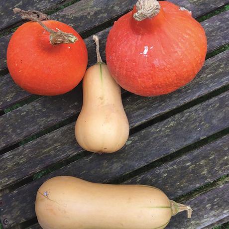 courges-assiettes-et-gourmandises courges
