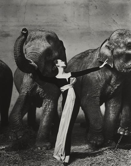 CULTURE : Les photos qui ont fait l’histoire influentialphotos81