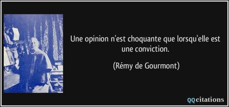 Twitter, ce réseau ouvert au clash en meute ! {Titre PUTACLIC assumé!} quote-une-opinion-n-est-choquante-que-lorsqu-elle-est-une-conviction-remy-de-gourmont-140007