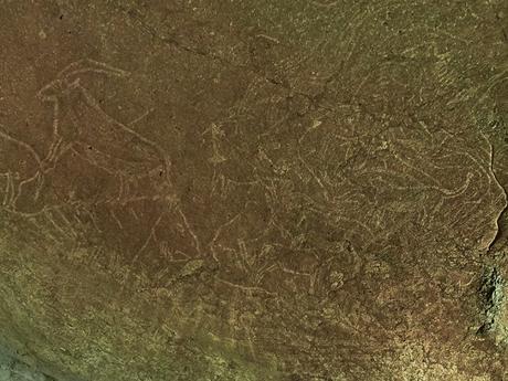 De magnifiques gravures rupestres découvertes sous une ville espagnole